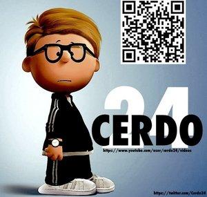 cerdo24