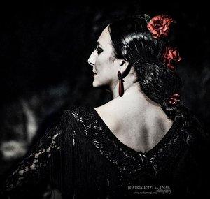 Cia Flamenca La Lupi