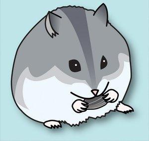 Hammy Time