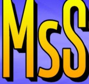 MsStandart