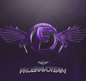 ProBravoTeam