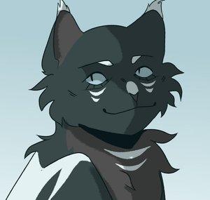 samartchy 