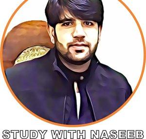 Study with Naseeb