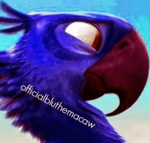 Team Blu