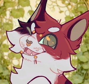 vixelzzz