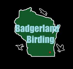 Badgerland Birding Extras