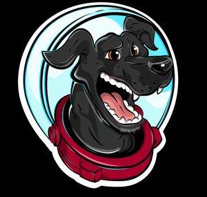 Canal K9