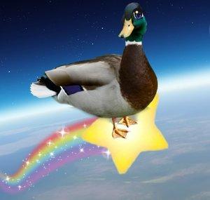 DuckOfTheStarz