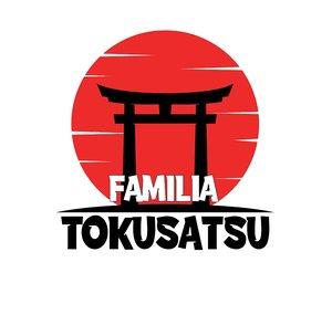 FAMÍLIA TOKUSATSU