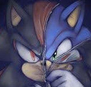 Hilarious hEDGEhog