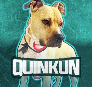 Quinkun