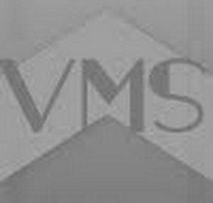 VividMemoriesStudios