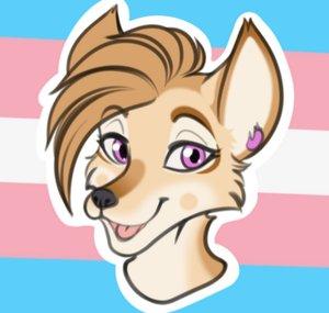 Ash Coyote