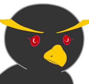 BlackbirdFrost