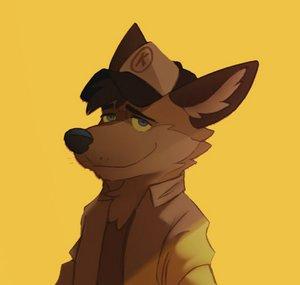 Koidel Coyote