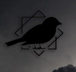 Sparrow