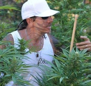 subcool420