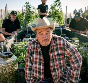 ™BELUSHI'S FARM 