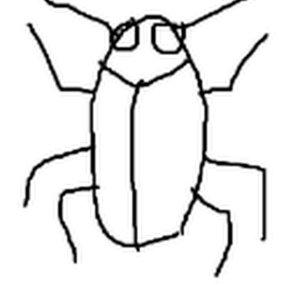 WHOMS'DTVE.cockroach