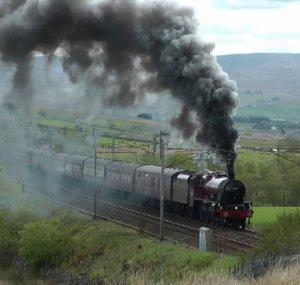981smithy