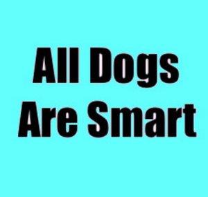 All Dogs Are Smart