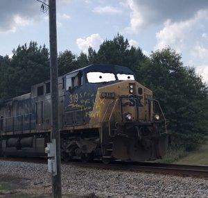 CSX Train Fan 319