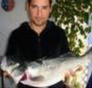 felirobalero