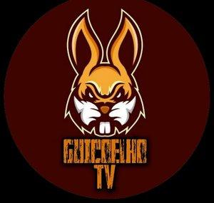 Guicoelho Tv