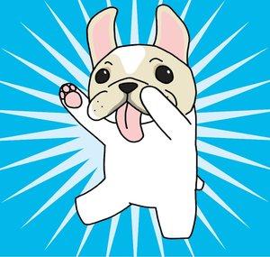 二代目フレンチブルドッグのミルコ　MIRCO THE SECOND