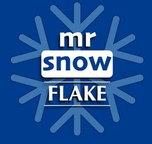 Mr Snowflake