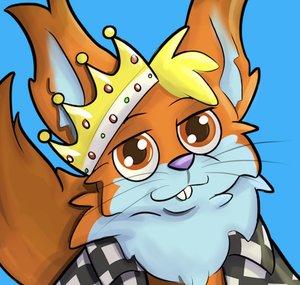 Ace Squirrel