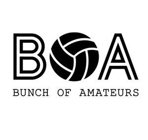 Bunch Of Amateurs