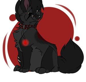 Dani Night (Sheara)