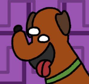 Doggy080