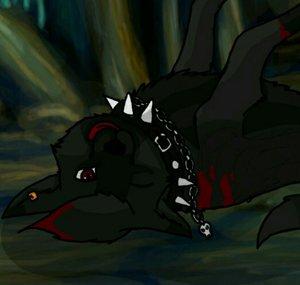 DuvalinWolf