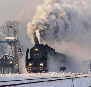 Kukis - Parowozy Wolsztyn🚂