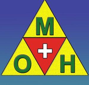 Master0fHyrule Plus