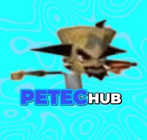Petec Hub