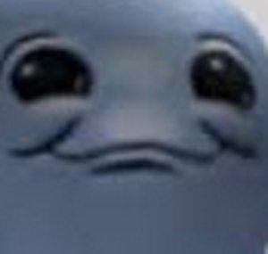 Spoop