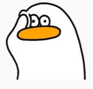 SyQual