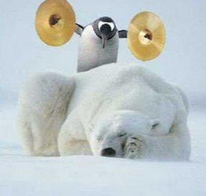 Zen Penguin