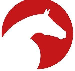 ClipMyHorse.TV