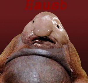 Hausb