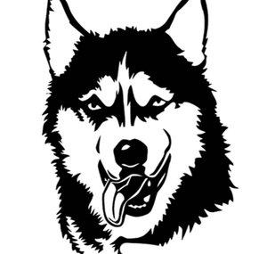 HuskyBlackWild