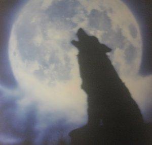 LoneWolf278