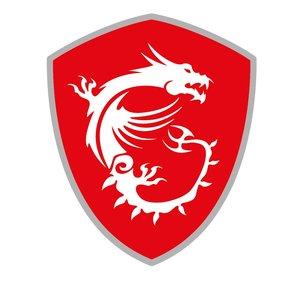 MSI India