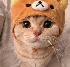 popiichu