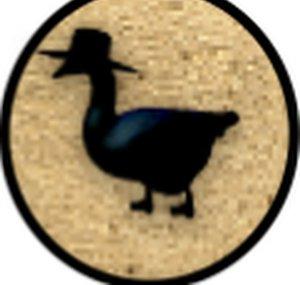 SolunarysPyrosomni
