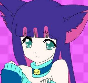 Stocking Rose