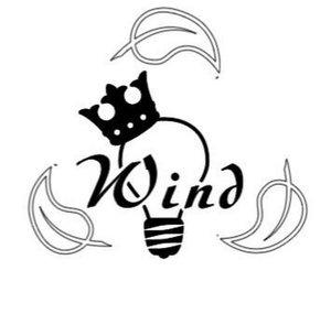 WiNDStaR715